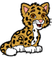 Baby jaguar